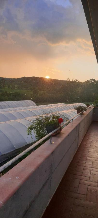 Casa Vacanze Cerreto 3 Miglianico Екстериор снимка